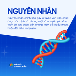 U tuyến yên 3