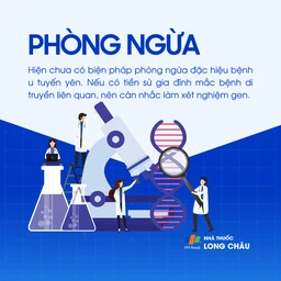 U tuyến yên 7