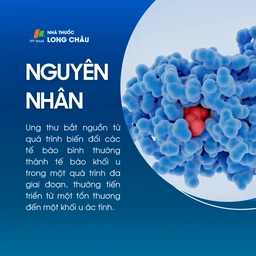 Ung thư 3