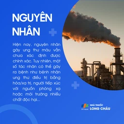Ung thư máu 3