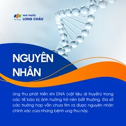 Ung thư tủy 3
