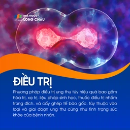 Ung thư tủy 6