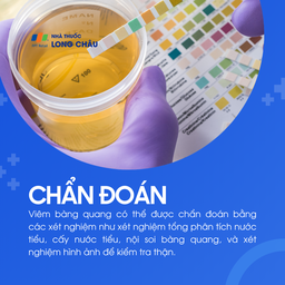 Viêm bàng quang 5