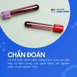 Viêm dạ dày ruột do virus 5