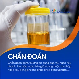 Viêm đường tiết niệu 6