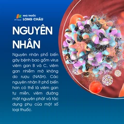 Viêm gan mạn tính 3