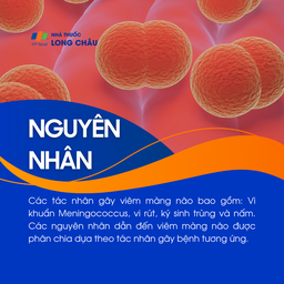 Viêm màng não 3