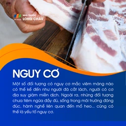 Viêm màng não 4