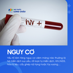 Viêm màng não do vi khuẩn 4