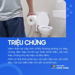 Viêm thận kẽ 2