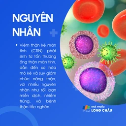 Viêm thận kẽ 5