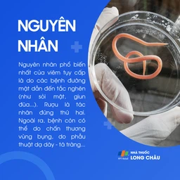 Viêm tụy cấp 3