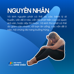 Vô kinh 3