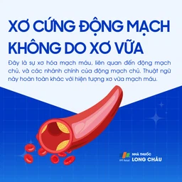Xơ cứng động mạch không do xơ vữa 1