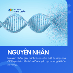 Xơ nang 4