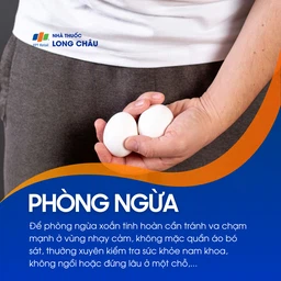 Xoắn tinh hoàn 7