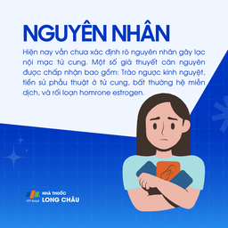 Lạc nội mạc tử cung 3