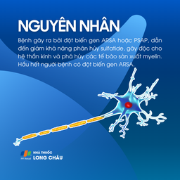 Loạn dưỡng bạch cầu dị sắc 3