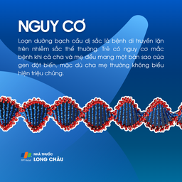 Loạn dưỡng bạch cầu dị sắc 4