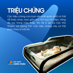 Loạn sản phế quản phổi 2