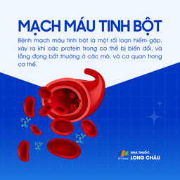 Mạch máu tinh bột 1