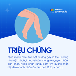 Mạch máu tinh bột 2