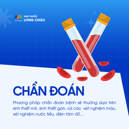 Mạch máu tinh bột 5