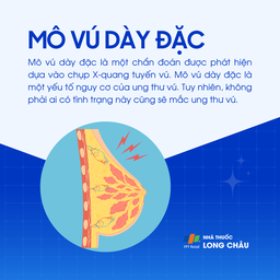 Mô vú dày đặc 1