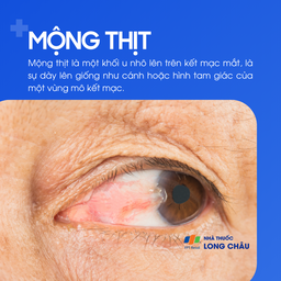 Mộng thịt 1