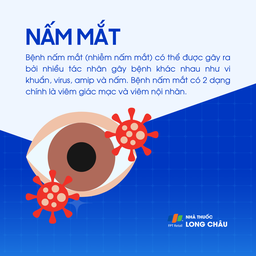 Nấm mắt 1
