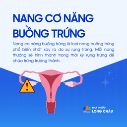 Nang cơ năng buồng trứng 1