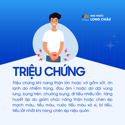 Nang đơn thận 2
