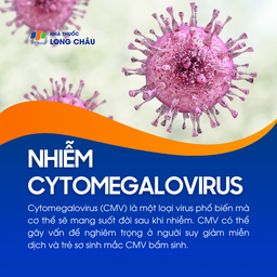 Nhiễm Cytomegalovirus 1
