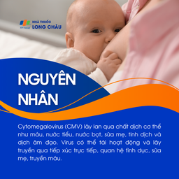 Nhiễm Cytomegalovirus 3
