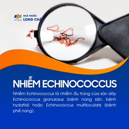 Nhiễm Echinococcus 1