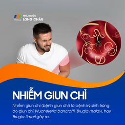 Nhiễm giun chỉ 1