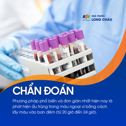 Nhiễm giun chỉ 5