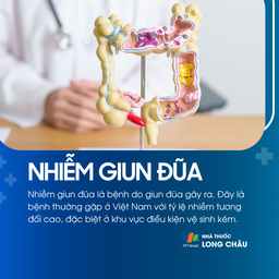 Nhiễm giun đũa 1