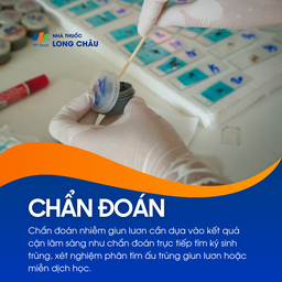 Nhiễm giun lươn 6