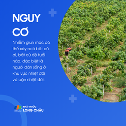 Nhiễm giun móc 4