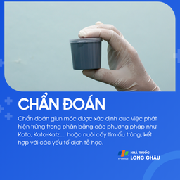 Nhiễm giun móc 5