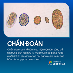 Nhiễm giun tóc 5