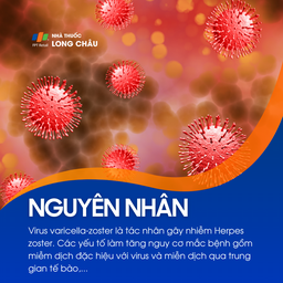 Nhiễm Herpes Zoster 5