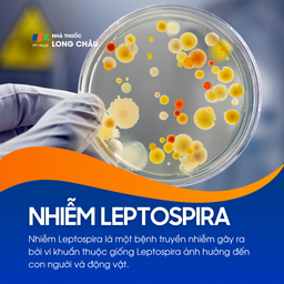 Nhiễm Leptospira 1