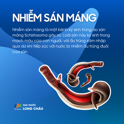 Nhiễm sán máng 1