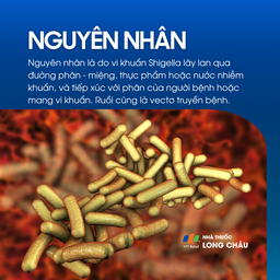 Nhiễm Shigella 3