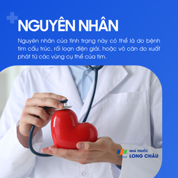 Nhịp nhanh thất 3