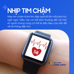 Nhịp tim chậm 1