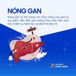 Nóng gan 1