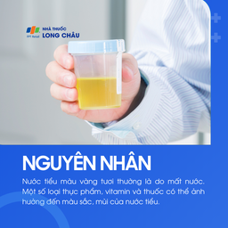 Nước tiểu vàng 3
